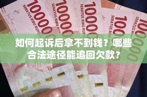 武汉如何起诉后拿不到钱？哪些合法途径能追回欠款？