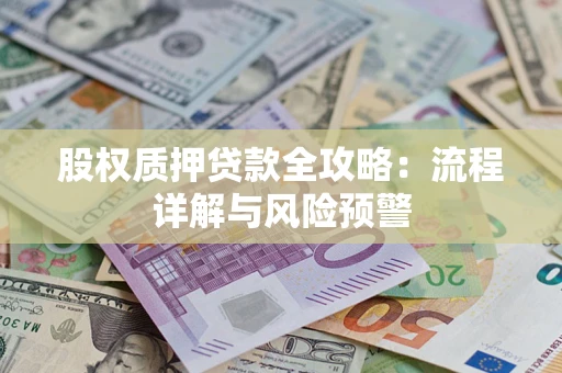 武汉股权质押贷款全攻略：流程详解与风险预警