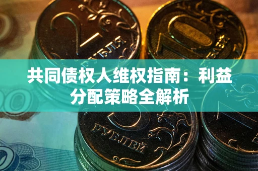 武汉共同债权人维权指南：利益分配策略全解析
