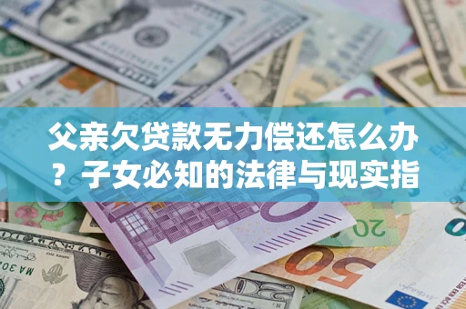 武汉父亲欠贷款无力偿还怎么办?子女必知的法律与现实指南 武汉父亲欠贷款无力偿还怎么办?子女必知的法律与现实指南