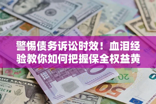 武汉警惕债务诉讼时效！血泪经验教你如何把握保全权益黄金期