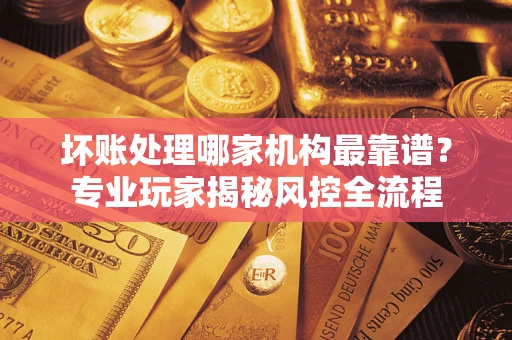 武汉坏账处理哪家机构最靠谱？专业玩家揭秘风控全流程