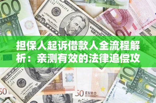 武汉担保人起诉借款人全流程解析：亲测有效的法律追偿攻略