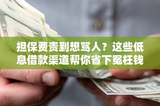 武汉担保费贵到想骂人？这些低息借款渠道帮你省下冤枉钱
