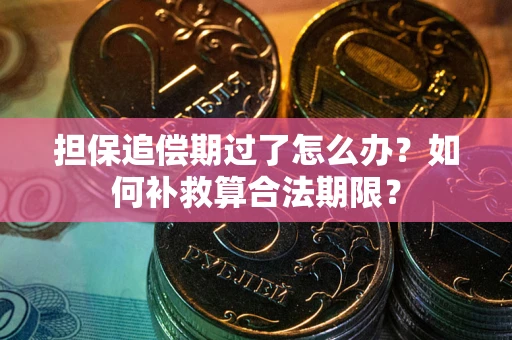 武汉担保追偿期过了怎么办？如何补救算合法期限？