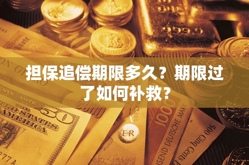 武汉担保追偿期限多久？期限过了如何补救？