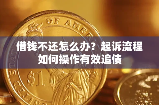 武汉借钱不还怎么办？起诉流程如何操作有效追债