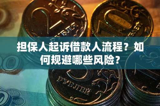 武汉担保人起诉借款人流程？如何规避哪些风险？