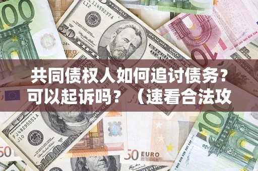 武汉共同债权人如何追讨债务？可以起诉吗？（速看合法攻略）