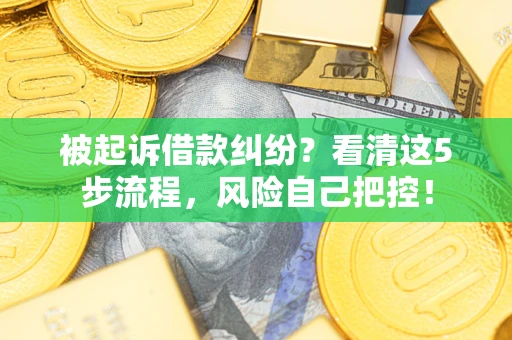武汉被起诉借款纠纷？看清这5步流程，风险自己把控！