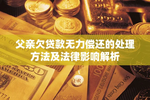武汉父亲欠贷款无力偿还的处理方法及法律影响解析