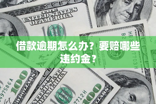 武汉借款逾期怎么办？要赔哪些违约金？