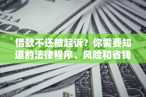 武汉借款不还被起诉？你需要知道的法律程序、风险和省钱技巧